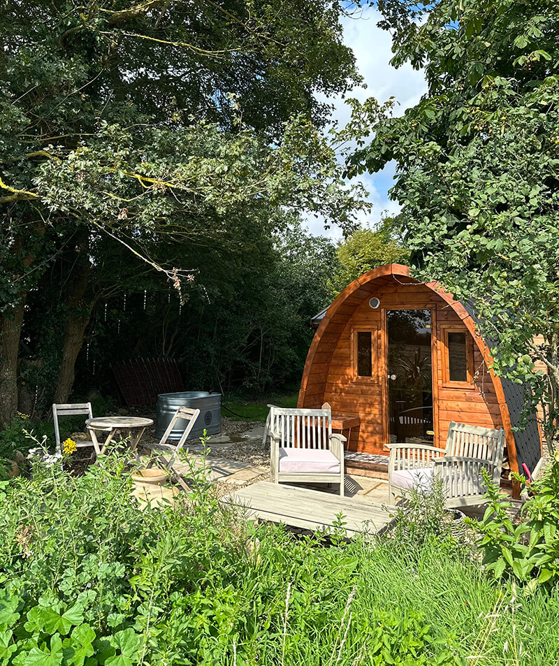 A wood fire sauna and ice bath surrounded by nature